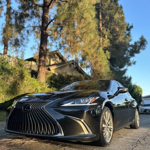 2021 Lexus ES300h 300H, US $30,000.00, image 9