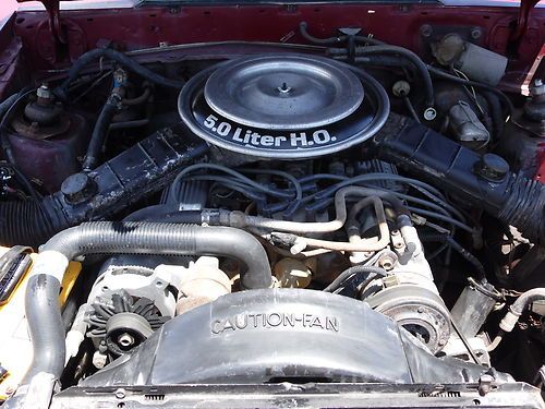 1982 Ford Mustang 5.0, image 3