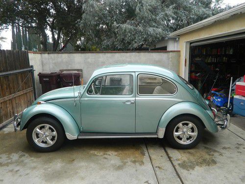 1965 vw bug