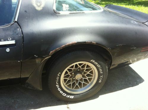 1981 pontiac firebird black on black bandit, US $5,500.00, image 7