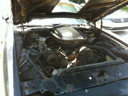 1981 pontiac firebird black on black bandit, US $5,500.00, image 14