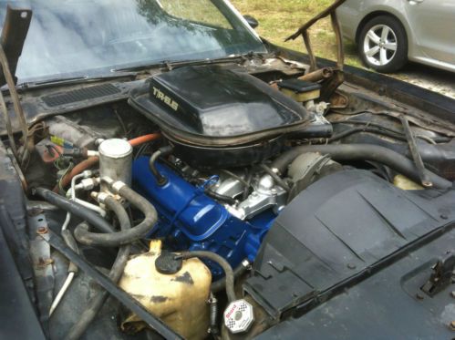1981 pontiac firebird black on black bandit, US $5,500.00, image 18