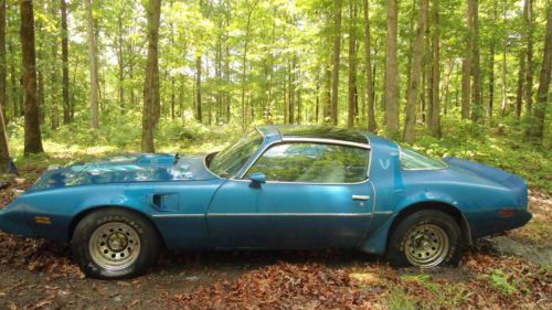 1980 pontiac firebird trans am coupe 2-door 4.9l