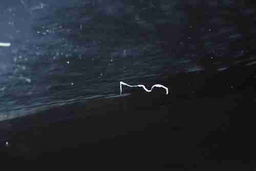 2004 Porsche 911 Carrera 4S Convertible 2-Door 3.6L, image 16