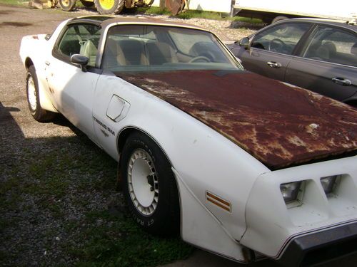 1980 pontiac turbo trans am indy 500 pace car