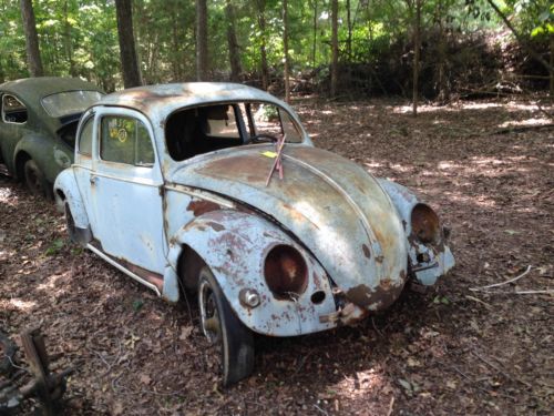 1955 volkswagon vw oval window bug