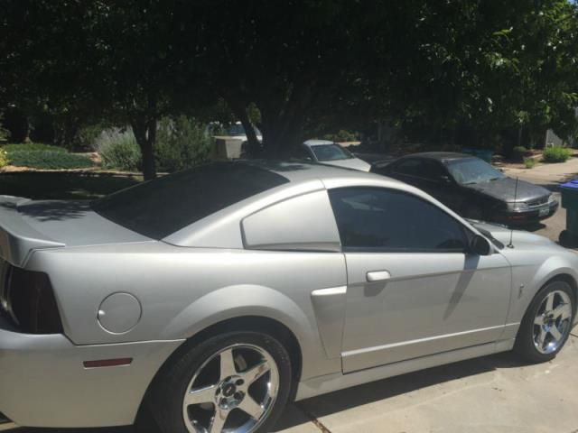 Ford: mustang terminator