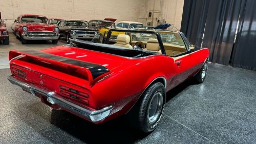 1967 Pontiac Firebird CUSTOM BIRD 400cid TREMEC 5 SPD CONVERTIBLE, US $49,994.00, image 16