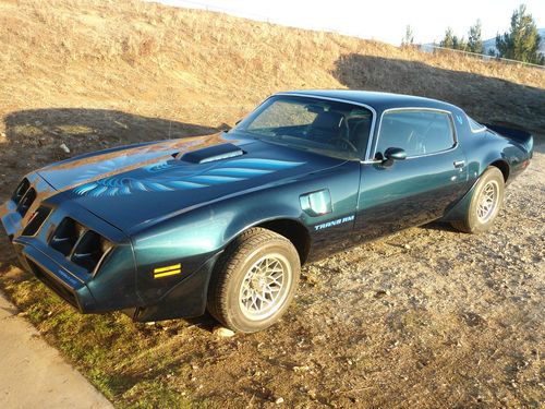 1979 pontiac trans am