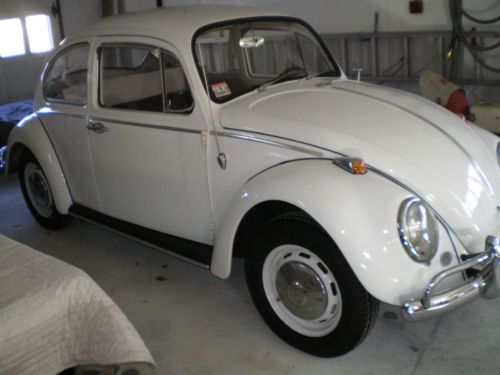 1966 beetle