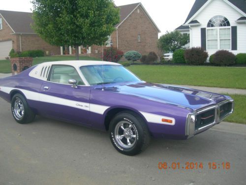 1974 Dodge Charger Special Edition Hardtop 2-Door 6.6L, US $14,500.00, image 3