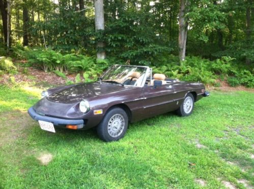 1981 alpha romeo spider convertible