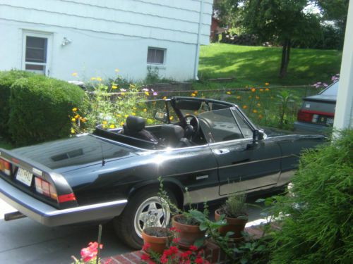 1987 Alfa Romeo Spider Graduate, US $7,100.00, image 3