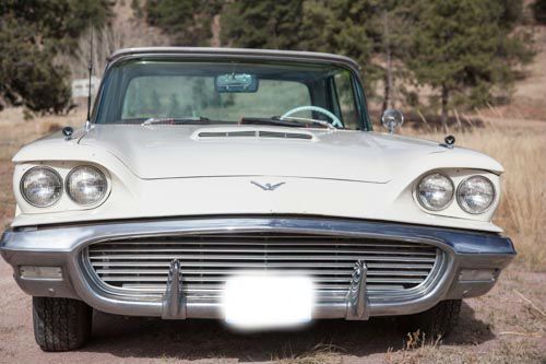 1959 ford thunderbird "barn find"