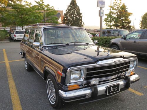 1989 jeep grand wagoneer