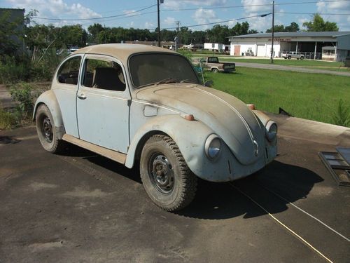 1968 volkswagen beetle