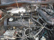 Vw rabbit, 1980 mk1