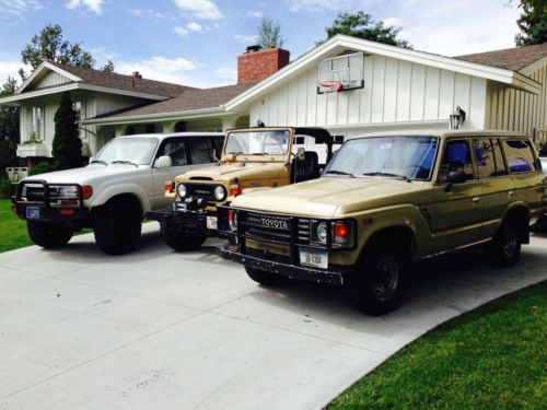 Montana Diamond in the Rough, image 2