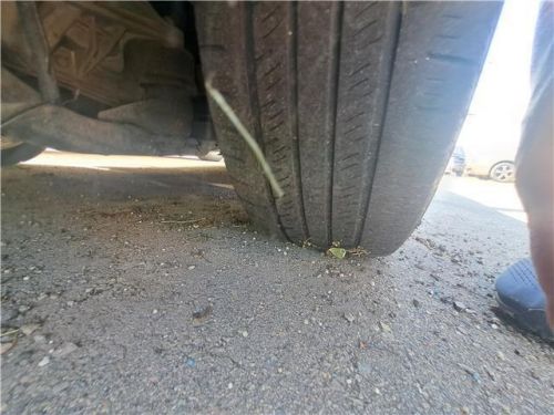 2009 Toyota Camry LE, US $500.00, image 13