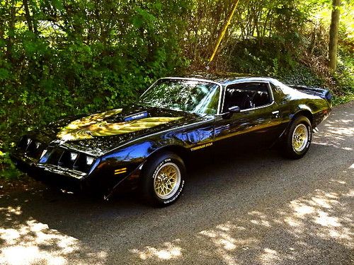 1979 pontiac firebird trans am coupe 2-door 6.6l