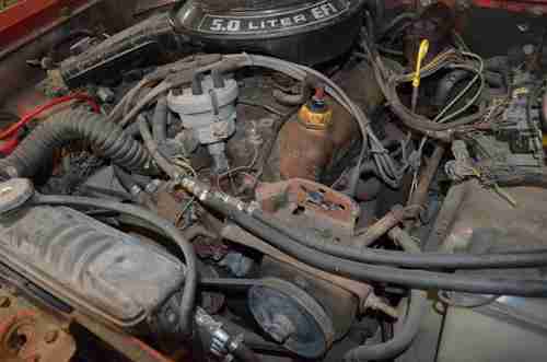 1966 Ford Bronco U13 Roadster Rare Barn Fresh, image 16