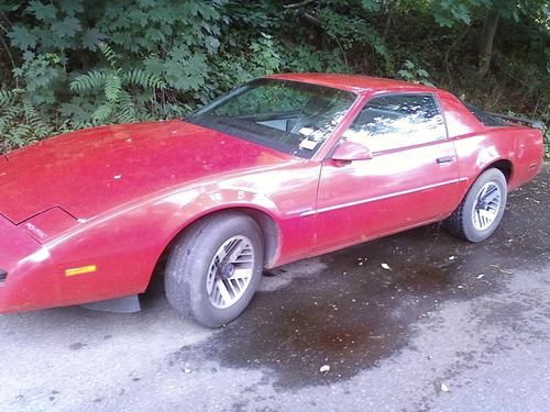 1991 pontiac firebird