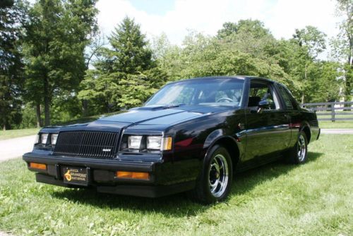 1987 buick grand national: multiple best of show winner! low mileage! awesome!