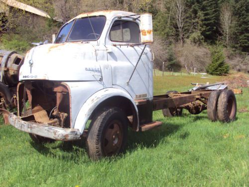 1951 dodge coe truck