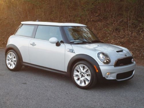 2010 mini s