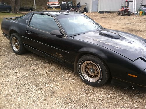 Bandit ii trans am