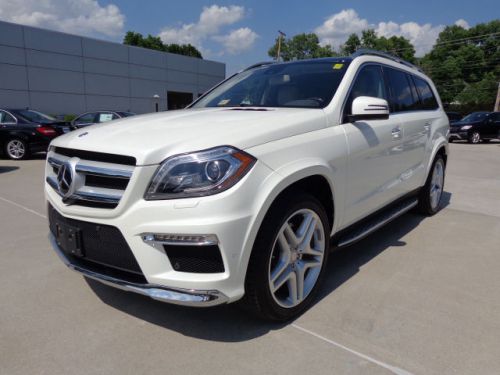 2014 Mercedes-Benz GL550 4MATIC, image 4