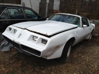 1980 pontiac firebird trans am project car clean title x vin!