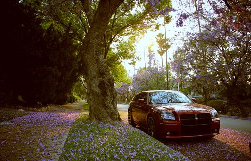 2006 dodge magnum srt8