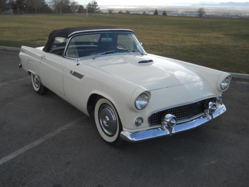 1955 thunderbird