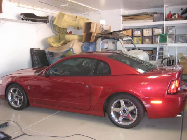 Ford mustang terminator