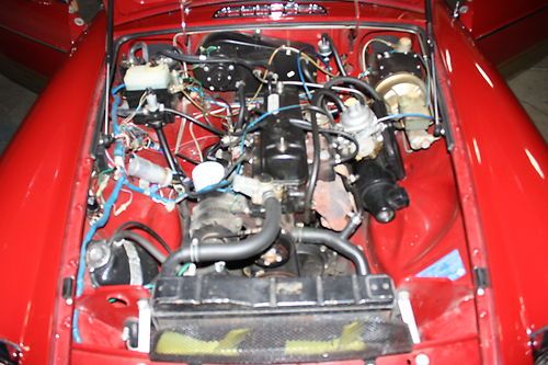 Mg
