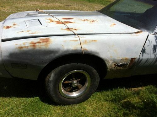 79 firebird