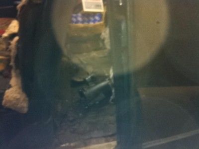 1948 Buick Super 8 Convertible, image 13