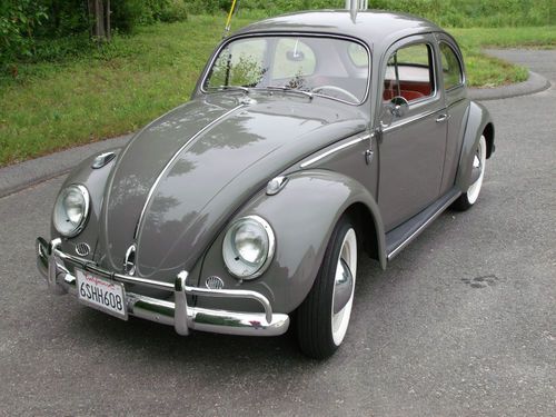 1962 volkswagen beetle