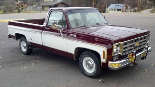 1977 Chevrolet 2WD 1/2 Ton, image 3