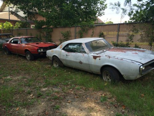 1967 pontiac firebird