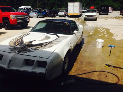 1980 trans am official pace car