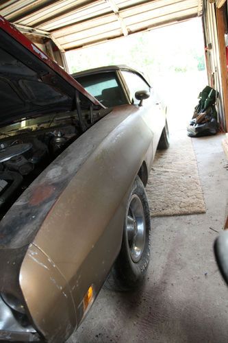 1970 gto convertible (very rare)