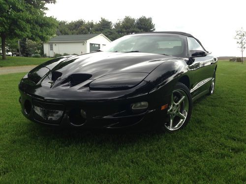 1999 pontiac trans am firehawk convertible 6sp, blk, slp ... immaculate paint!