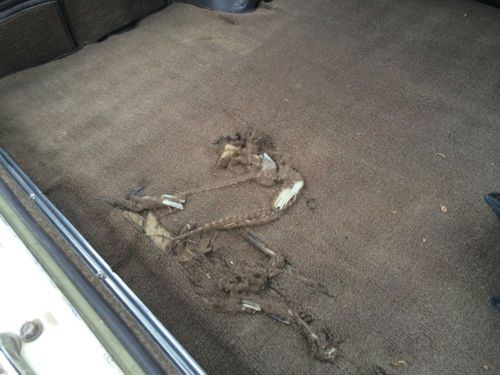 1986 Toyota Land Cruiser FJ60, image 10