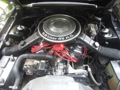 1983 Ford Mustang GT H.O. Hatchback, US $5,500.00, image 10