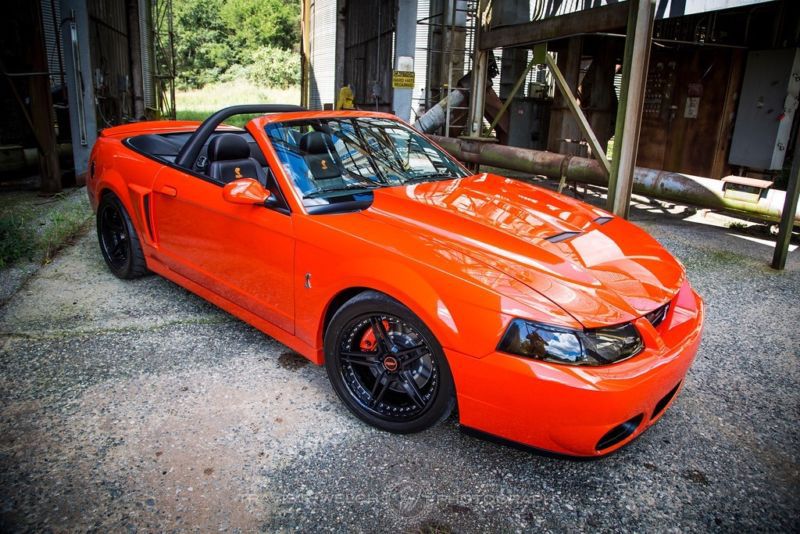 2004 ford mustang terminator cobra