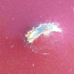 1985 Nissan 300ZX Turbo Coupe 2-Door 3.0L, US $6,000.00, image 8