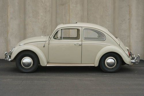 1964 volkswagen beetle