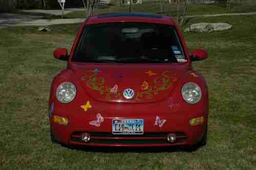 2003 Volkswagen Beetle GLS TDI Happiest Beetle on the Road, image 5